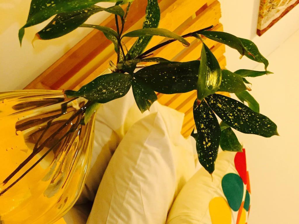 Love Lane 56 Hotel Джордж Таун Екстериор снимка